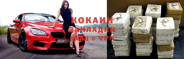 дживик Ельня