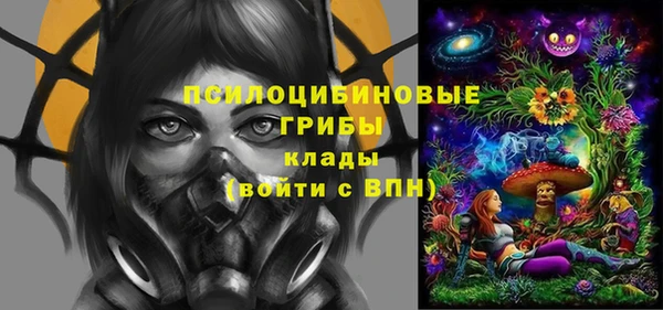 apvp Заволжск