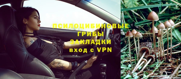 скорость Курчалой