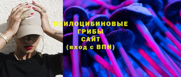 PSILOCYBIN Заволжье