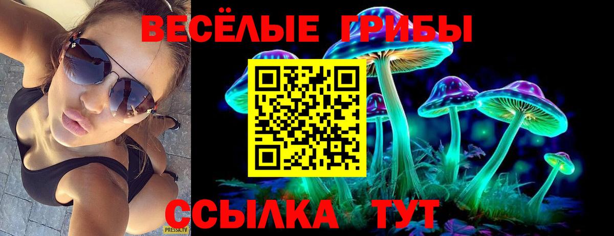 Псилоцибиновые грибы мицелий Саянск