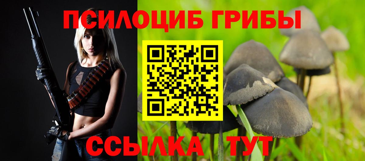 Саянск  Галлюциногенные грибы Psilocybine cubensis  Псилоцибиновые грибы мухоморы  Вход с VPN 